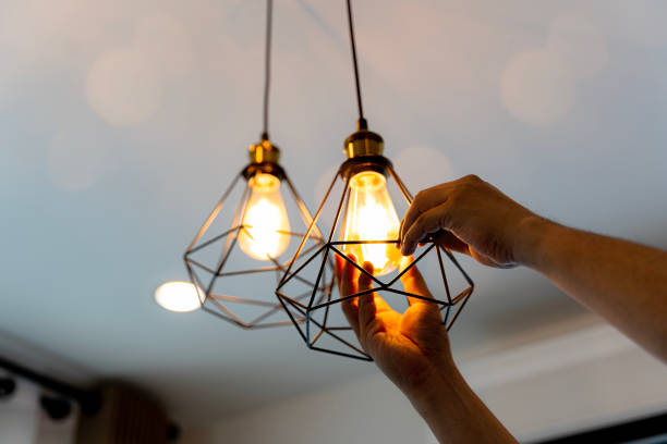 Best Electric Panel Repair  in Sheldon, TX